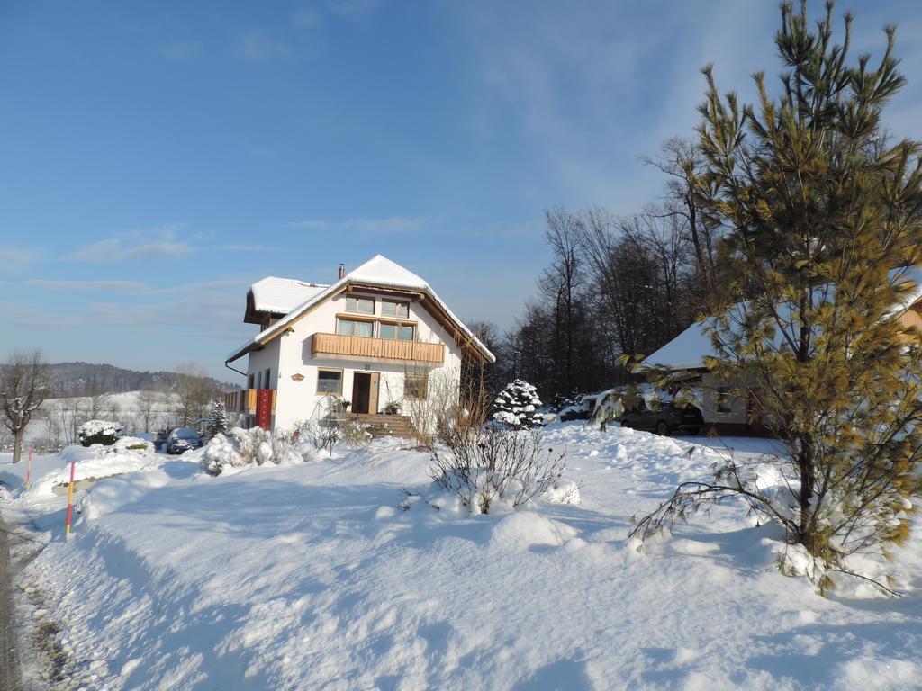 Villa Katarina Mokronog Exterior foto